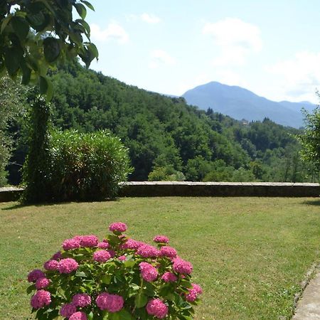 La Limonaia Di Casagrande Vila Barga Exterior foto