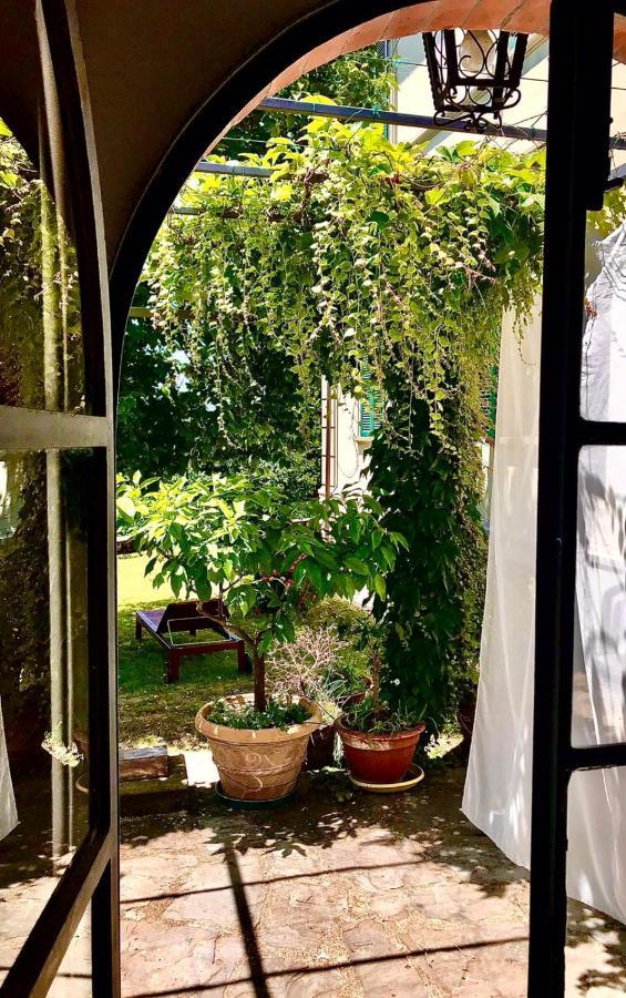 La Limonaia Di Casagrande Vila Barga Exterior foto