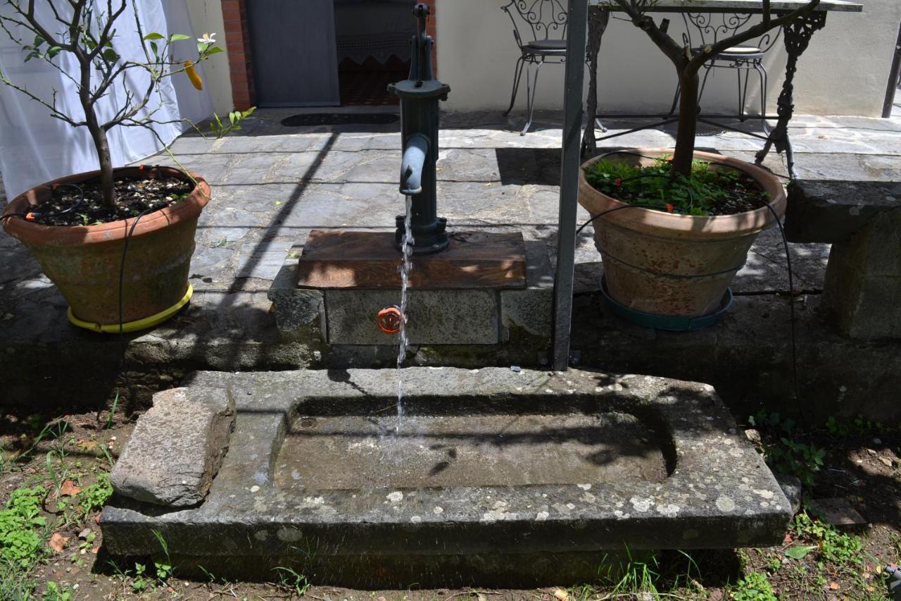 La Limonaia Di Casagrande Vila Barga Exterior foto