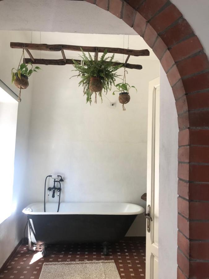 La Limonaia Di Casagrande Vila Barga Exterior foto