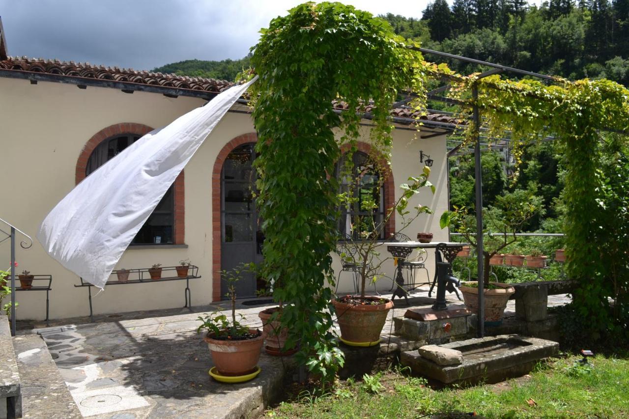 La Limonaia Di Casagrande Vila Barga Exterior foto