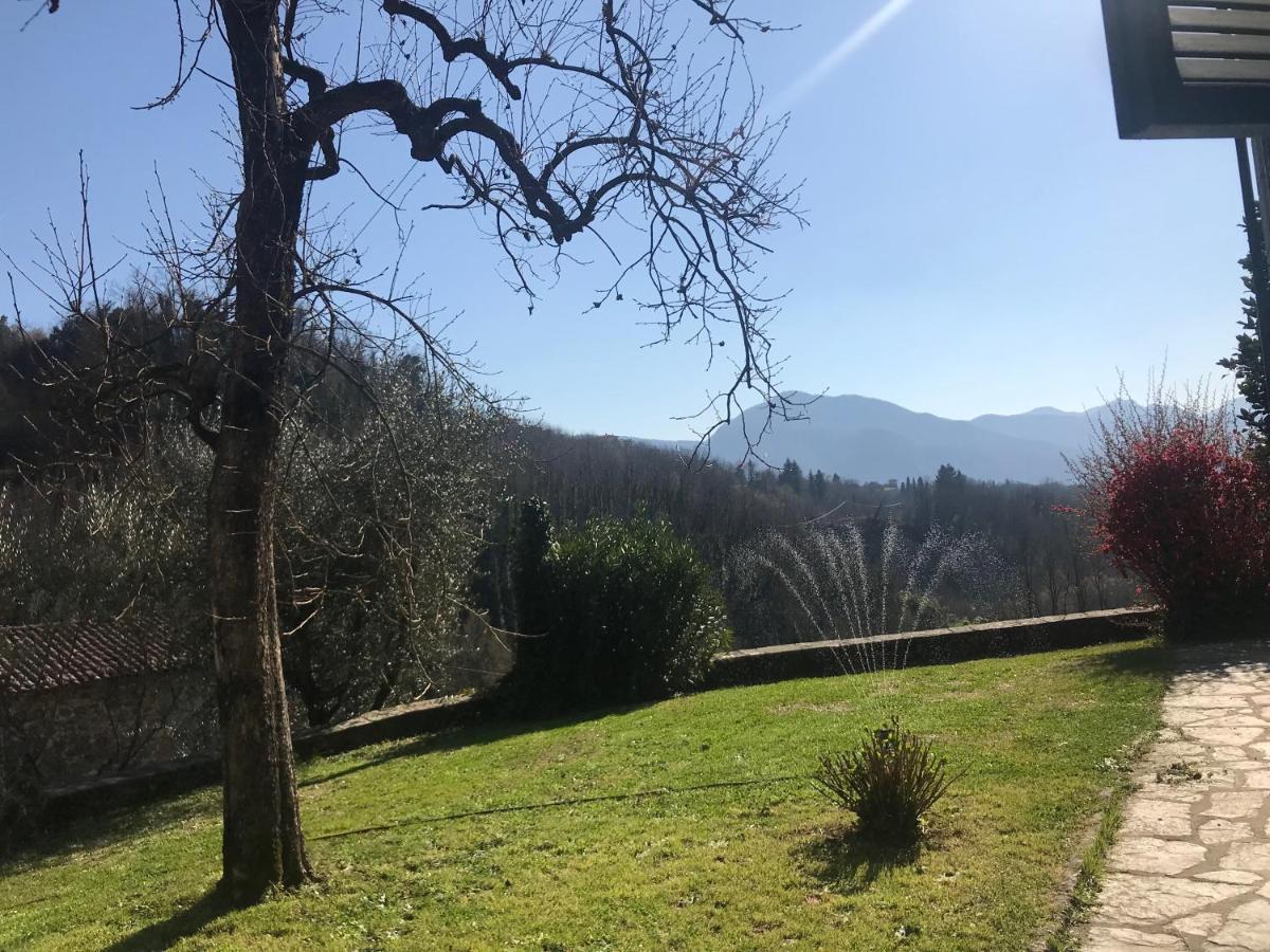 La Limonaia Di Casagrande Vila Barga Exterior foto