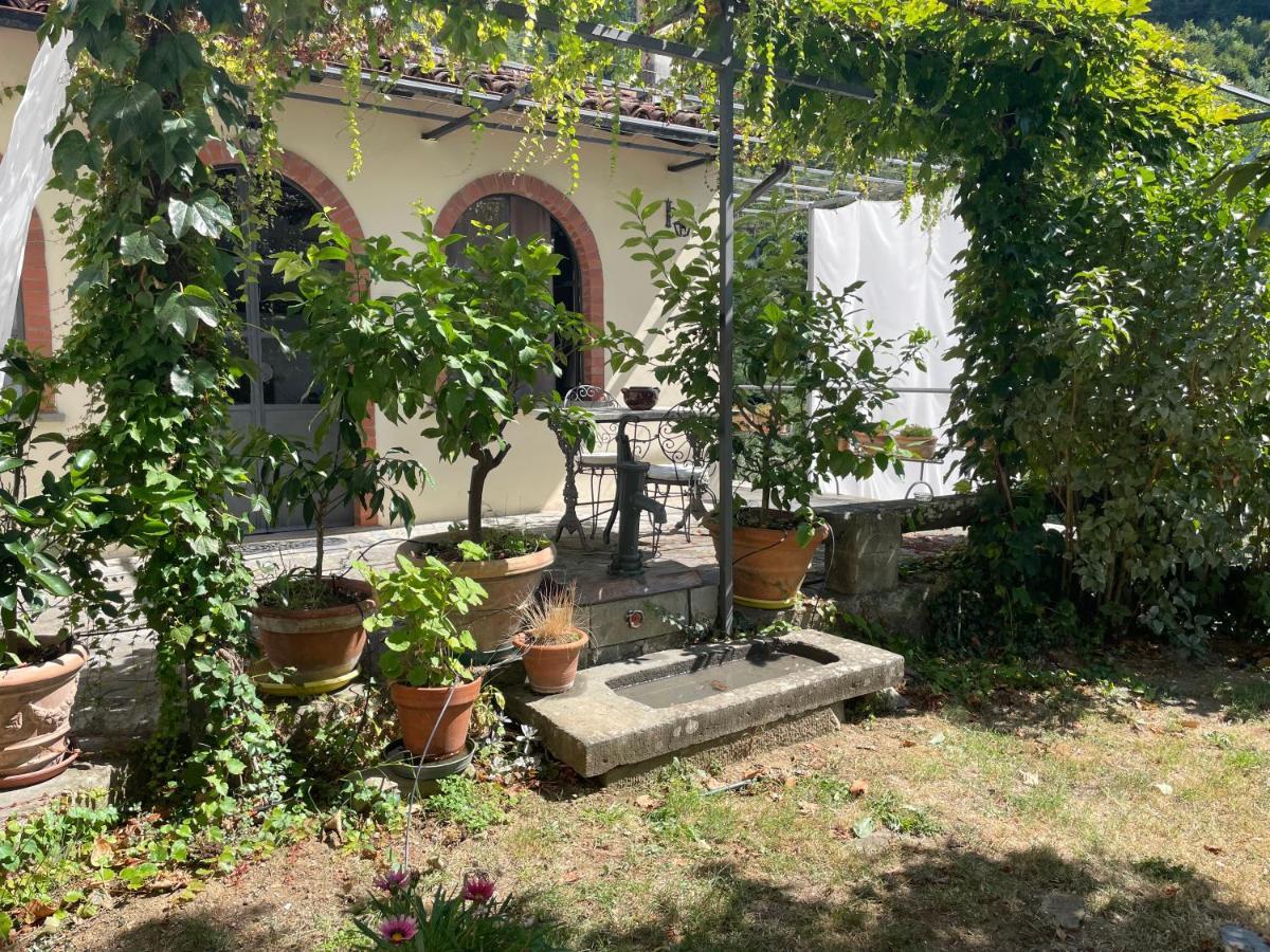 La Limonaia Di Casagrande Vila Barga Exterior foto