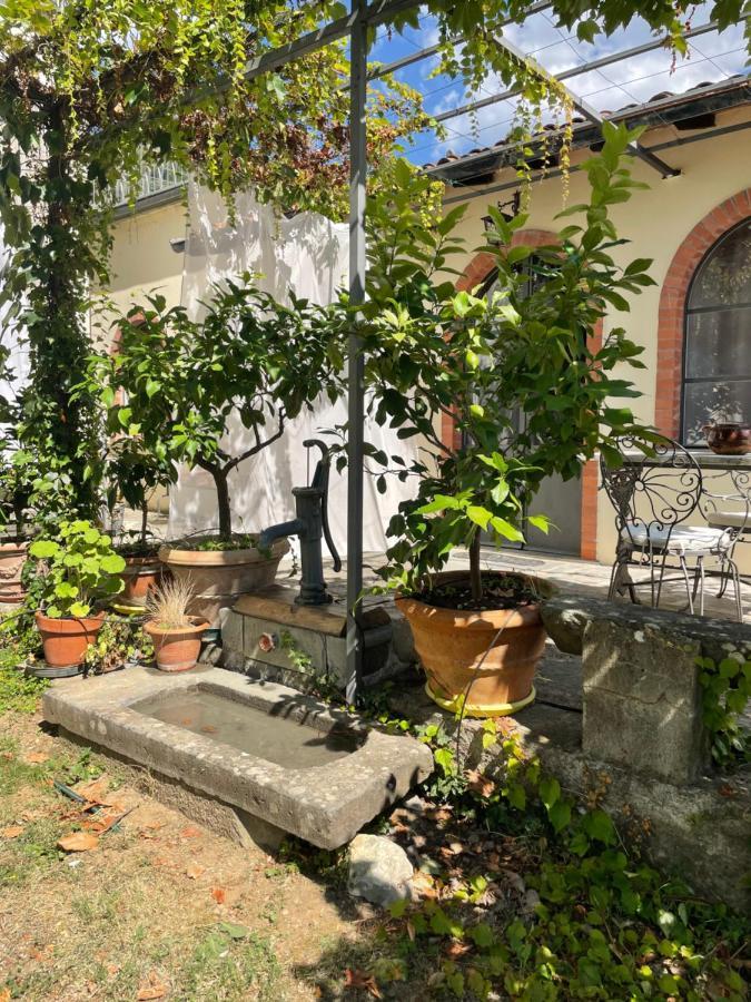 La Limonaia Di Casagrande Vila Barga Exterior foto