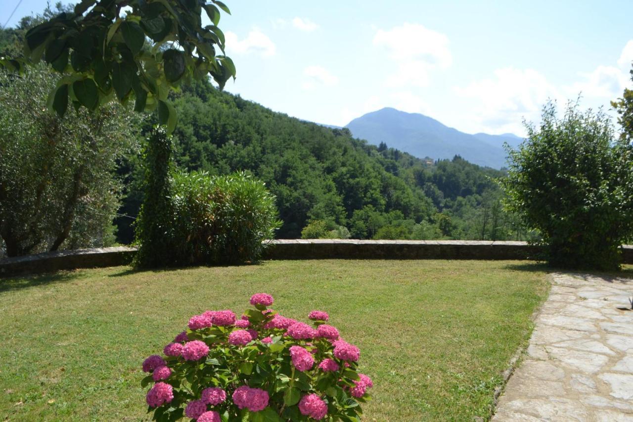 La Limonaia Di Casagrande Vila Barga Exterior foto