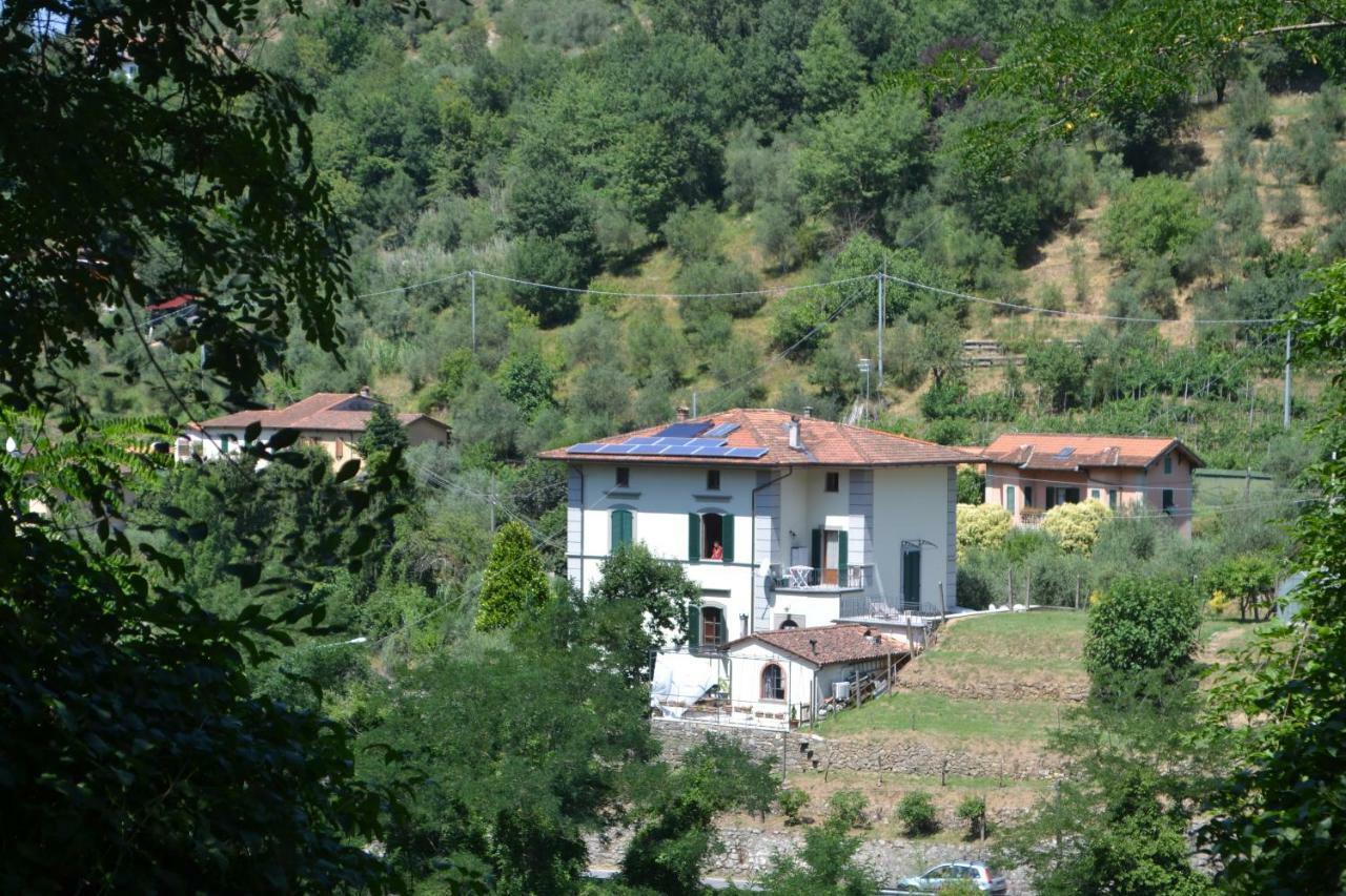 La Limonaia Di Casagrande Vila Barga Exterior foto